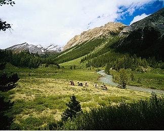 CDPR旗下游戏付费DLC很成功 为游戏行业树立了高标准