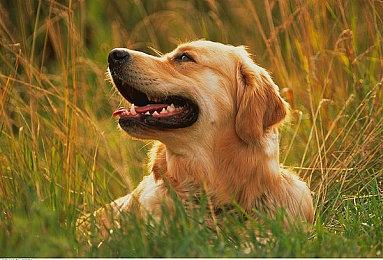 多人战斗擂台游戏《GigaBash 巨击大乱斗》新角色宣传片 2022年上线PC端